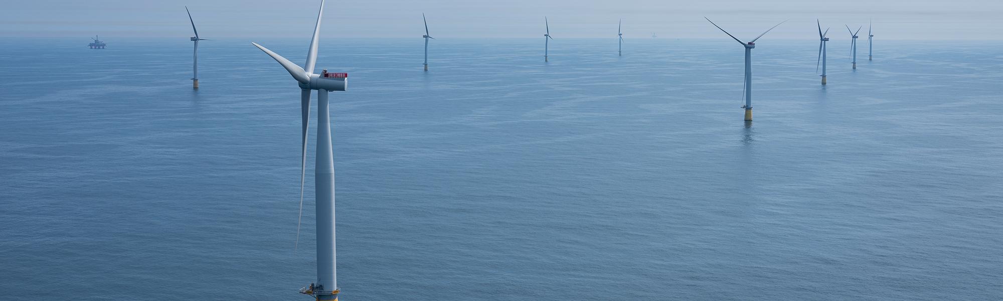 Wind turbines. Photo