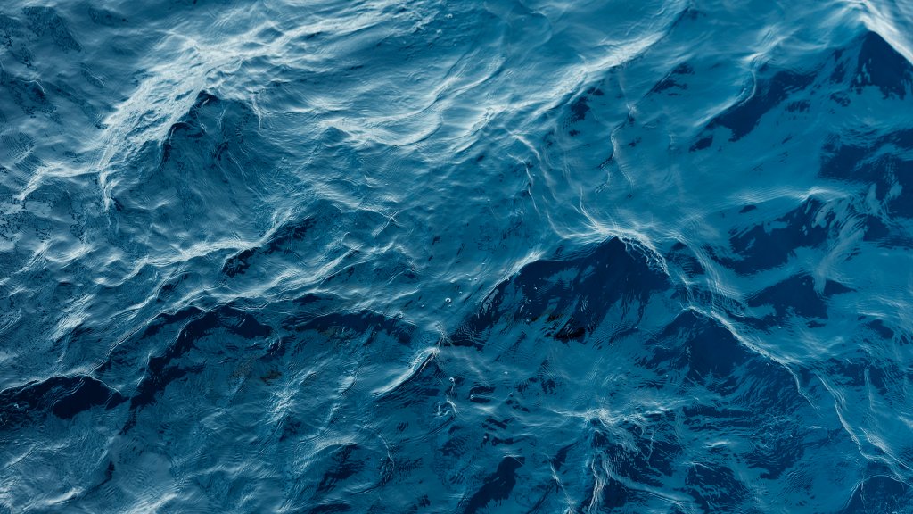 Photo of the sea surface